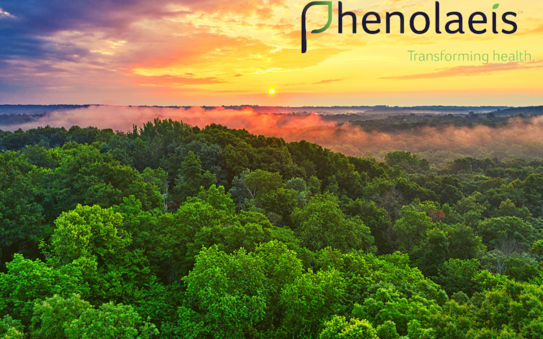 Phenolaeis Sustainability