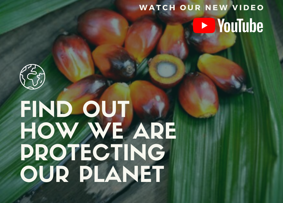 This video shows how we respect and protect our environment